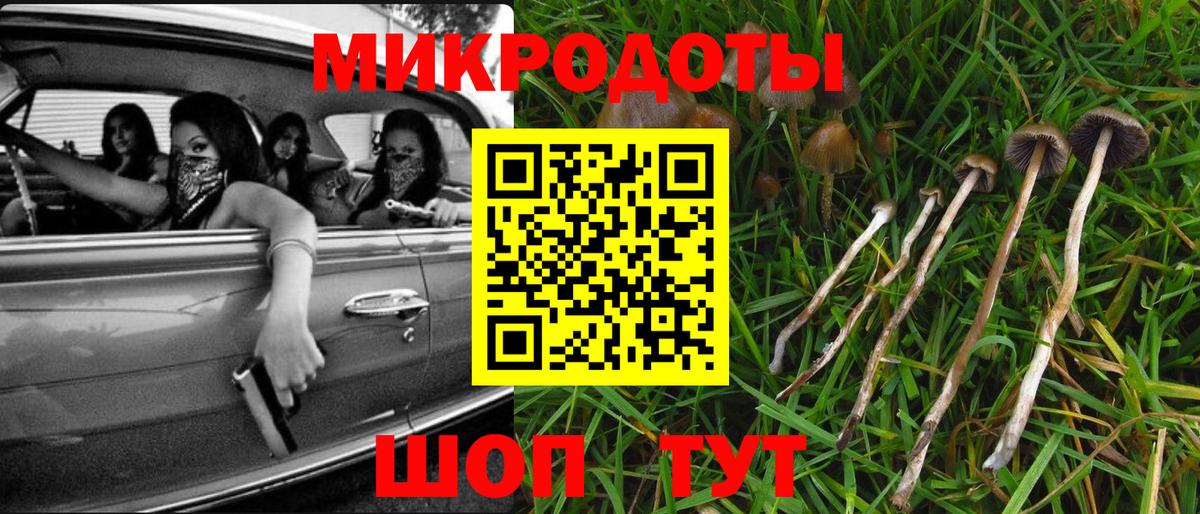 Псилоцибиновые грибы Magic Shrooms Волгоград