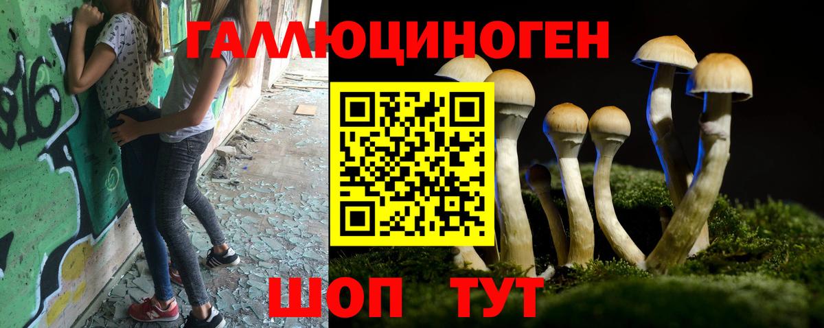Волгоград  Галлюциногенные грибы ЛСД  Галлюциногенные грибы Psilocybe  Вход с VPN 