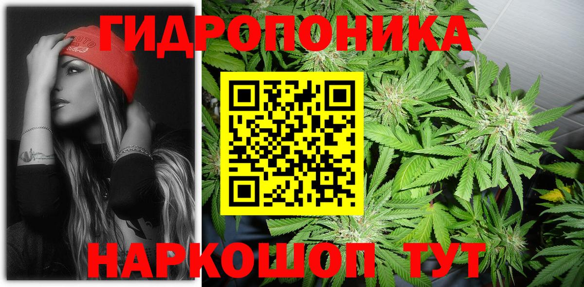 Конопля Bruce Banner Волгоград